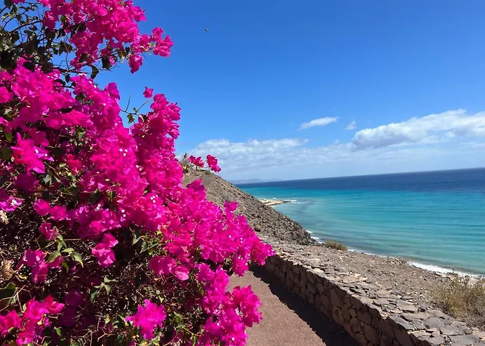 Vista Mar ,playas De Jandia Esquinzo